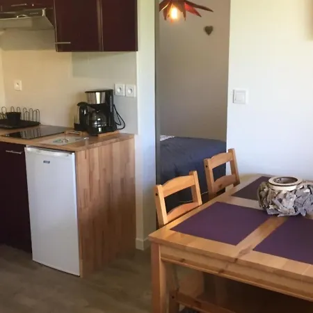 Mont-dore, 2 Pieces, 4 Personnes - Fr-1-415-45 Apartmán *